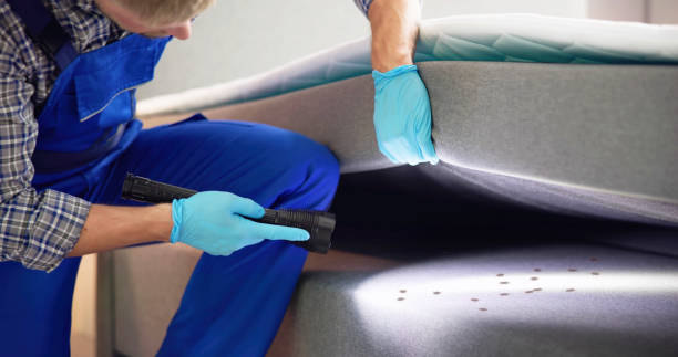 Best Pest Removal Services  in Lansdowne, PA
