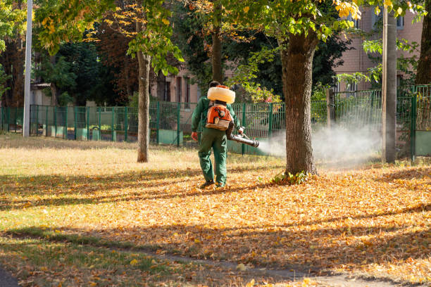 Best Affordable Pest Control Services  in Lansdowne, PA